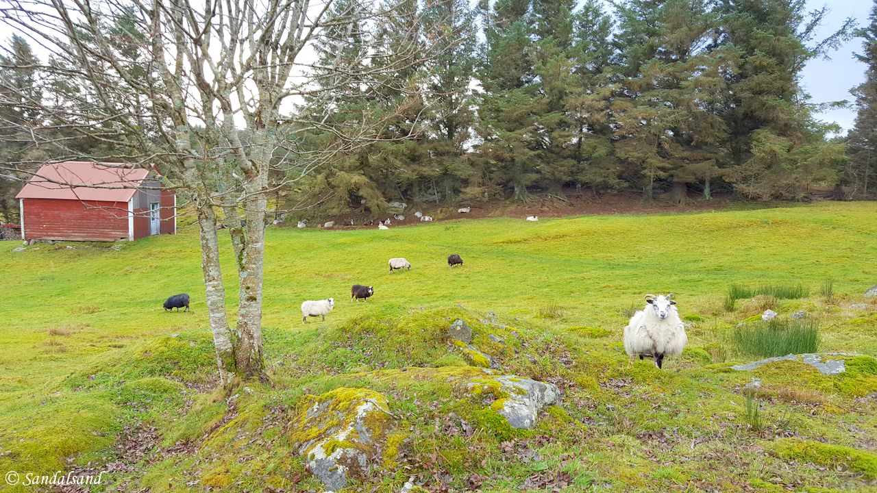 Hordaland - Austevoll - Stora Kalsøy - Turvei til Skansen Hordaland - Austevoll - Stora Kalsøy - Turvei til Skansen