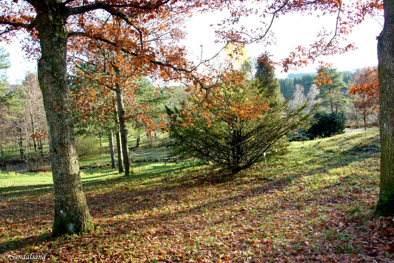 Norway - Rogaland - Sandnes - Arboretet Norway - Rogaland - Sandnes - Arboretet