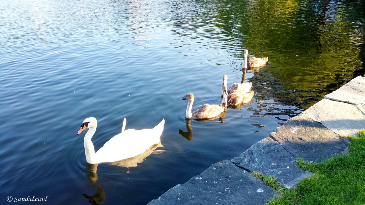 Rogaland - Stavanger - Byparken - Breiavatnet Rogaland - Stavanger - Byparken - Breiavatnet