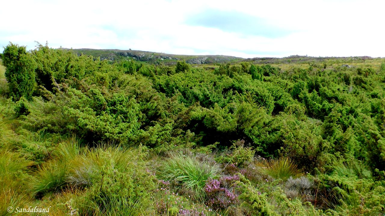 Rogaland - Tysvær - Sandviksfjellet Rogaland - Tysvær - Sandviksfjellet