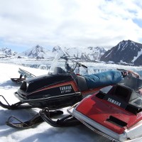 Nesten på Nordpolen, et besøk til Svalbard